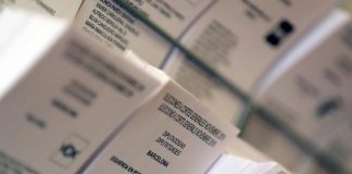 El Partido de la Señora Dictadora pide el voto Partido de la Señora Dictadora