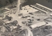 El campo español durante el franquismo Campo franquismo