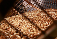 El Gordo, un siglo adelgazando El Gordo