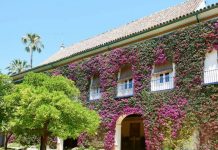 Un siglo de Cayetana de Alba en Dueñas Un siglo de Cayetana de Alba en Dueñas