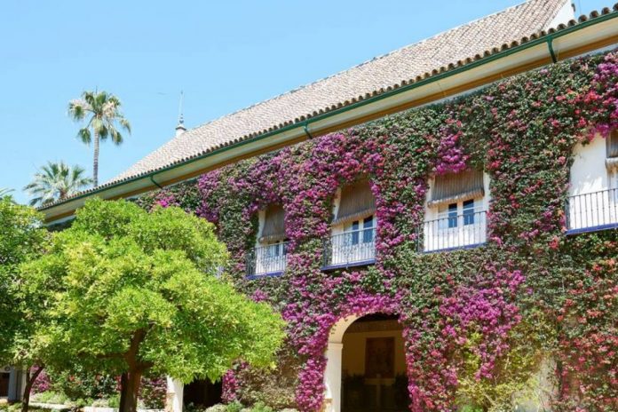 Un siglo de Cayetana de Alba en Dueñas