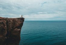 El miedo a la libertad El miedo a la libertad