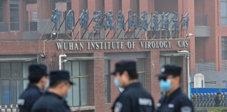 El siglo de los ratones Virus China