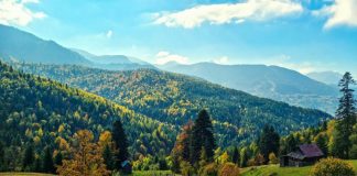 En la linde del bosque Maramureș