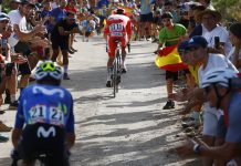 Después del accidente Tadej Pogačar