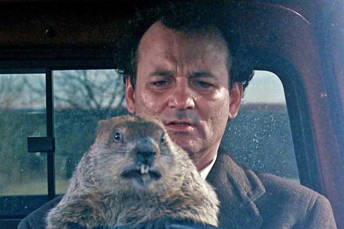 El día de la marmota