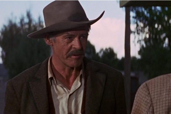 The Wild Bunch